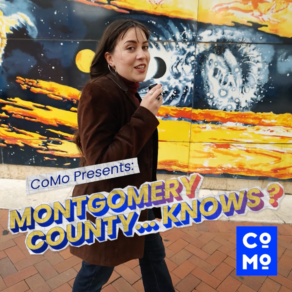 MoCo… Knows?